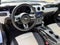 2023 Ford Mustang EcoBoost