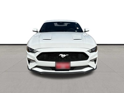 2023 Ford Mustang EcoBoost