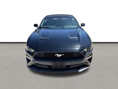 2019 Ford Mustang EcoBoost Premium